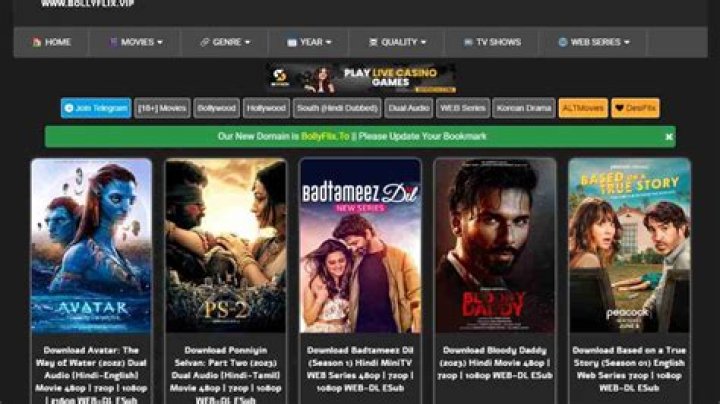 Bollyflix.vip: The Ultimate Guide to Streaming Bollywood Movies