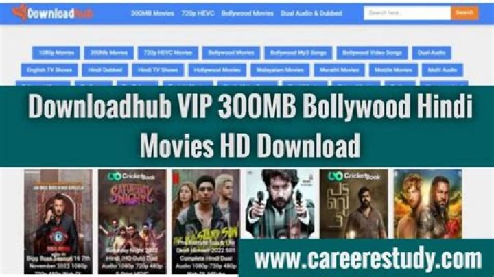 Downloadhub 300MB: Your Ultimate Guide to Accessing High-Quality Content