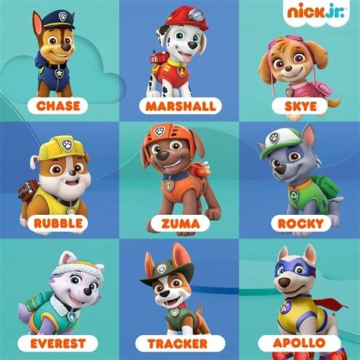Paw Patrol Characters Names: A Complete Guide to Your Favorite Pups