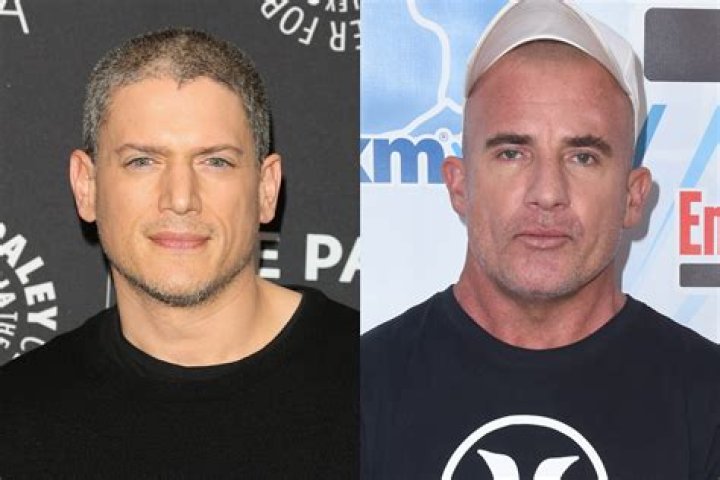 Wentworth Miller Partner: Exploring His Public Life and Relationships